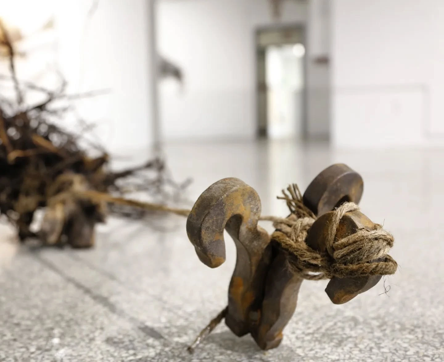 Root Pull, Side view by Sarah Patricia Hughes, 2025